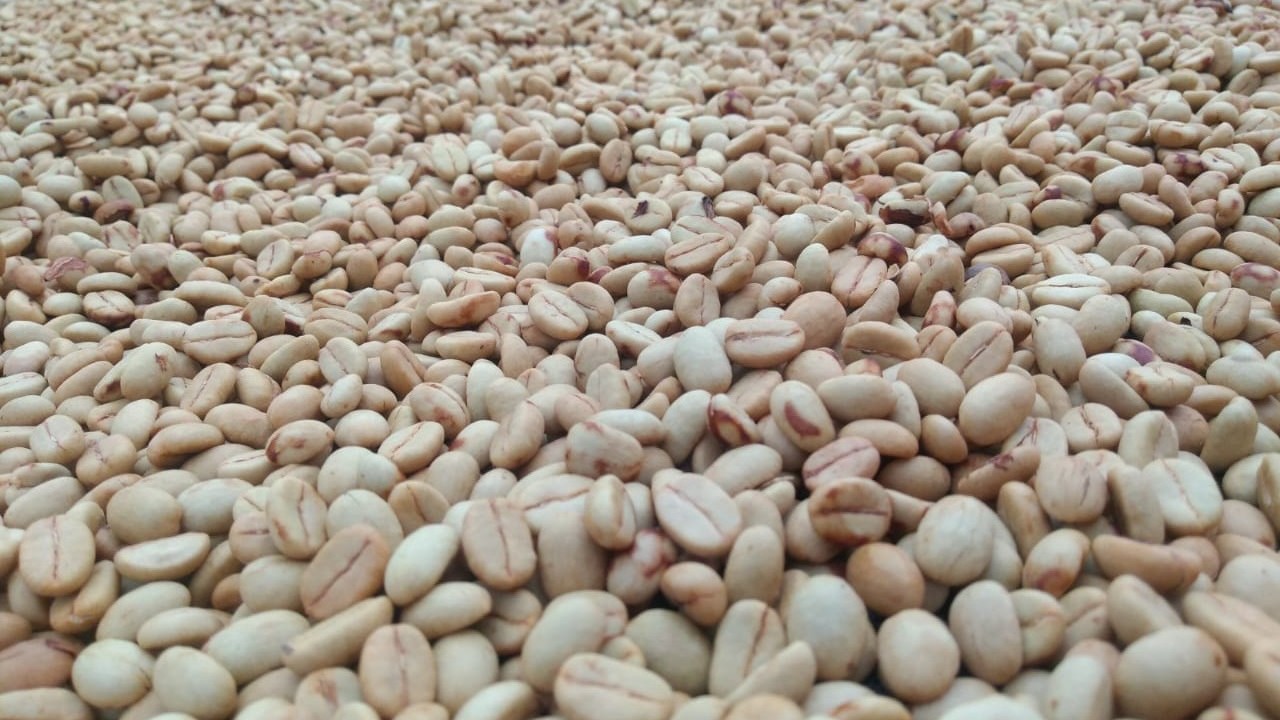Garzas coffee